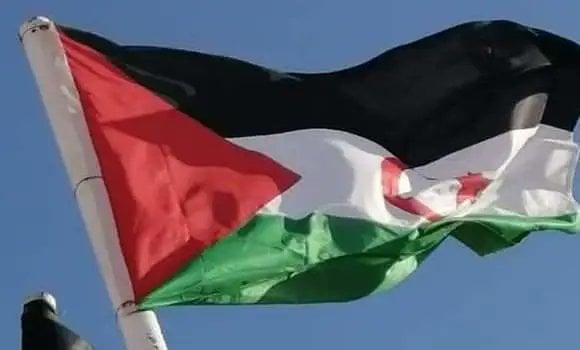 Spanish Media Warns of Moroccan Control in Western Sahara