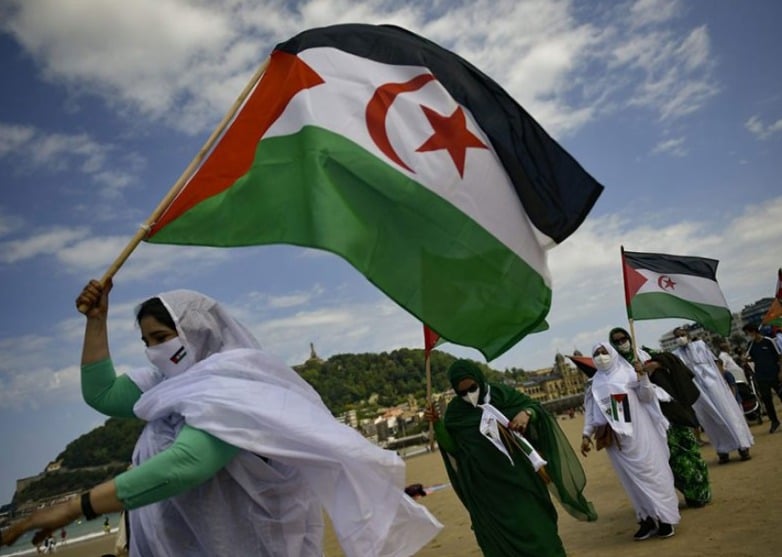Aquaculture Council Halts Operations in Western Sahara