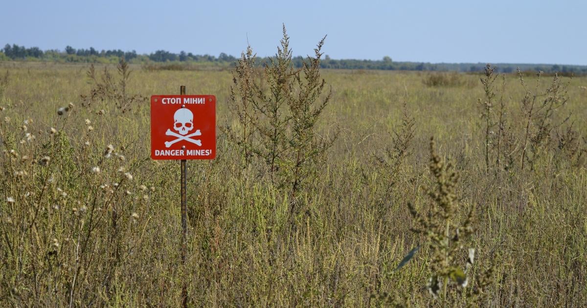 Algeria Reaffirms Commitment to Anti-Personnel Mine Ban Treaty