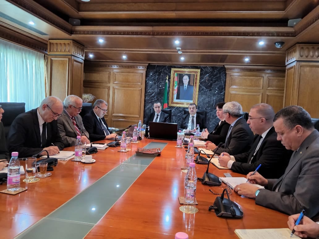 Algeria Accelerates Lithium Development with High-Level Meeting