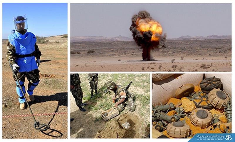 Algeria Highlights Mine Clearance Expertise, Urges Treaty Expansion