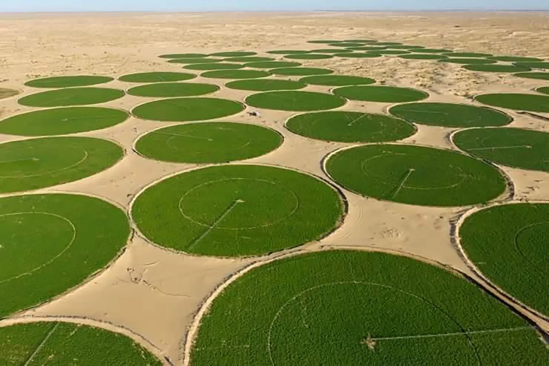 Ouargla to Host International Desert Agriculture Investment Fair