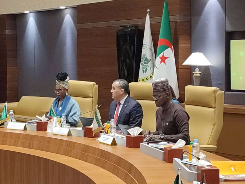 Algiers Declaration Seeks Digital Balance for Africa