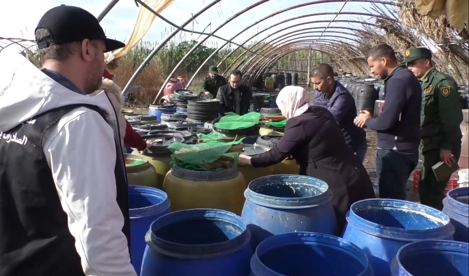 Contaminated Chili Paste: 73 Tons Destroyed in Algiers Raid