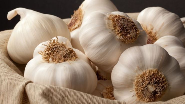 Algeria Ranks 7th Globally in Garlic Production