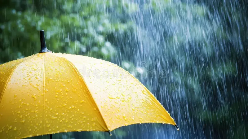 Thunderstorm Alert Issued for Southern Algerian Provinces