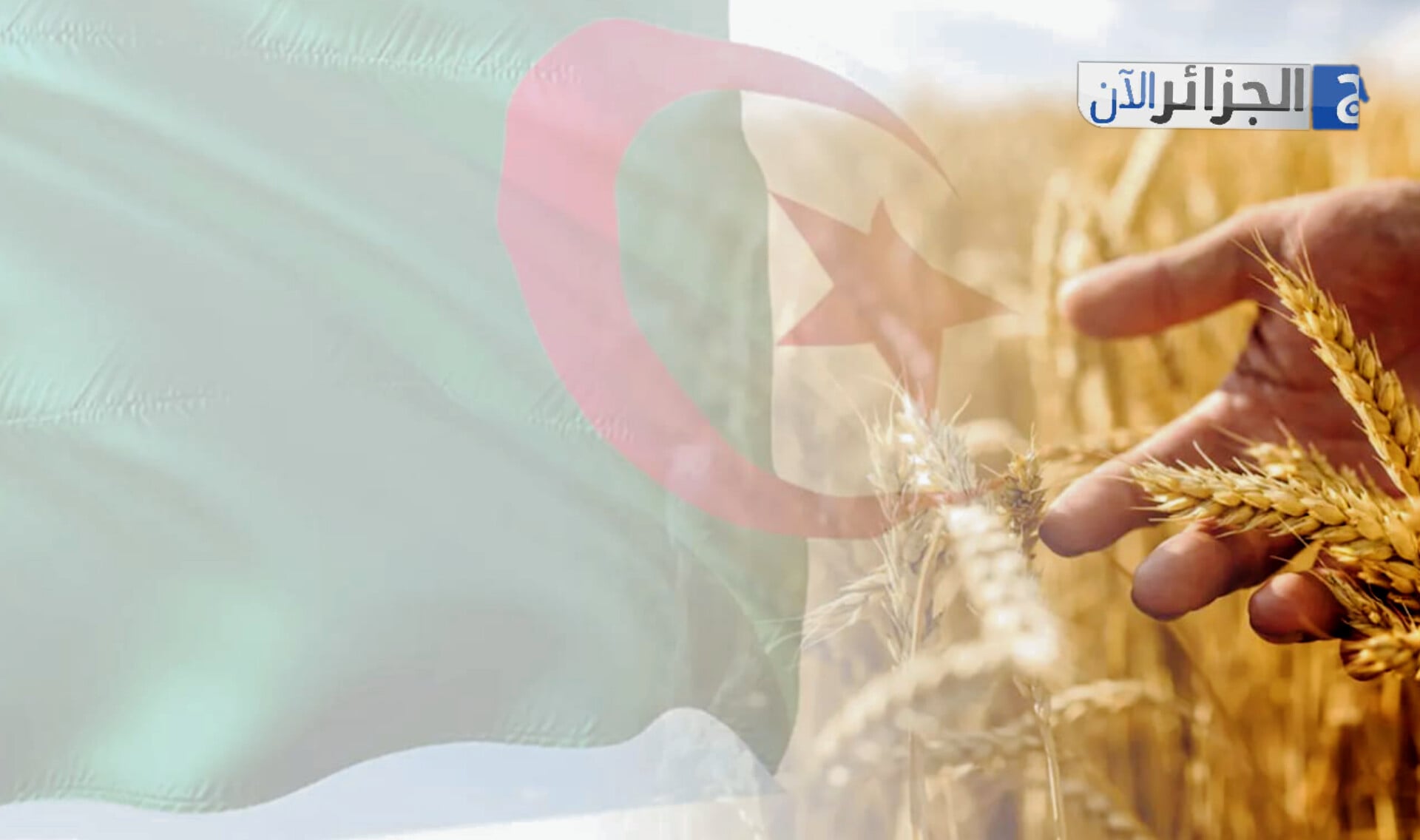 Algeria Achieves 75% Food Self-Sufficiency, Launches Major Agricultural Projects