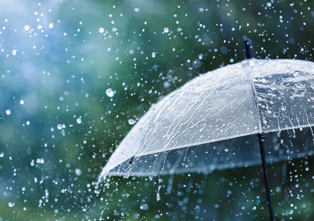 Thunderstorm Alert Issued for Southern Regions of Algeria