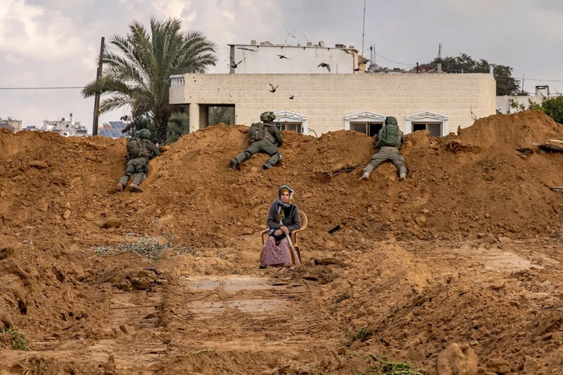 Gaza Woman, 50s, Used as Human Shield by Israeli Forces