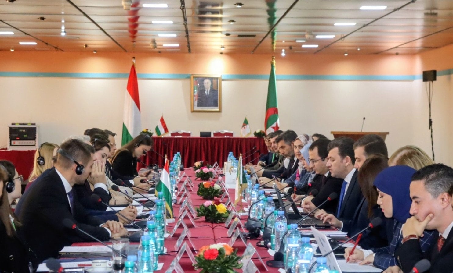 Algeria and Hungary Consider Reopening Algiers-Budapest Air Route