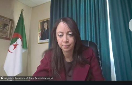 Mansouri Leads Key Meeting on African Peer Review Mechanism