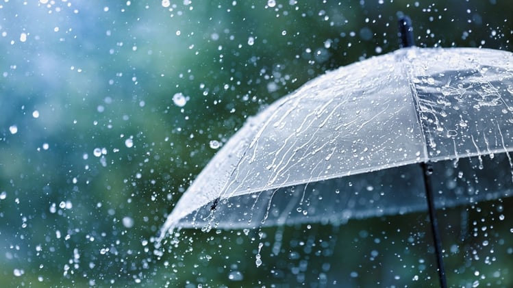Severe Weather Alert: Rain, Snow, and High Winds Forecast for Saturday