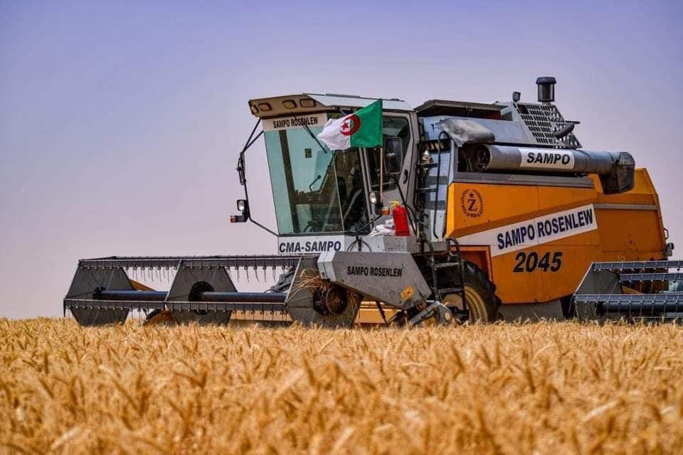 US Forecasts Upward Trend for Algerian Grain Production