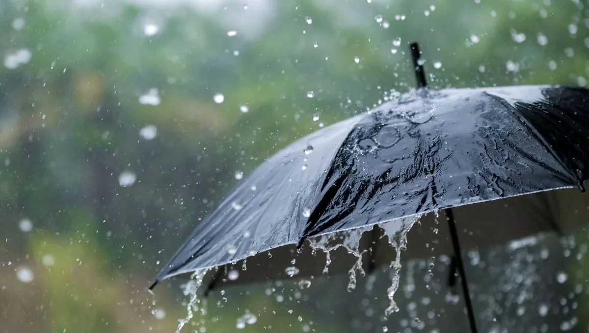 Severe Thunderstorms Forecast Across Multiple Algerian Regions