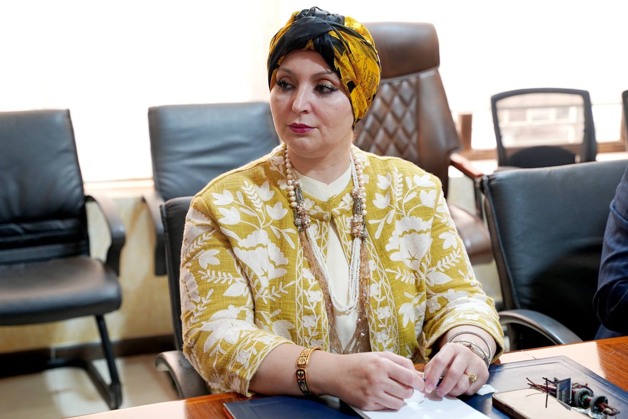 Ms. Mezache Appointed to Oversee Ministry of Industry Inspectorate