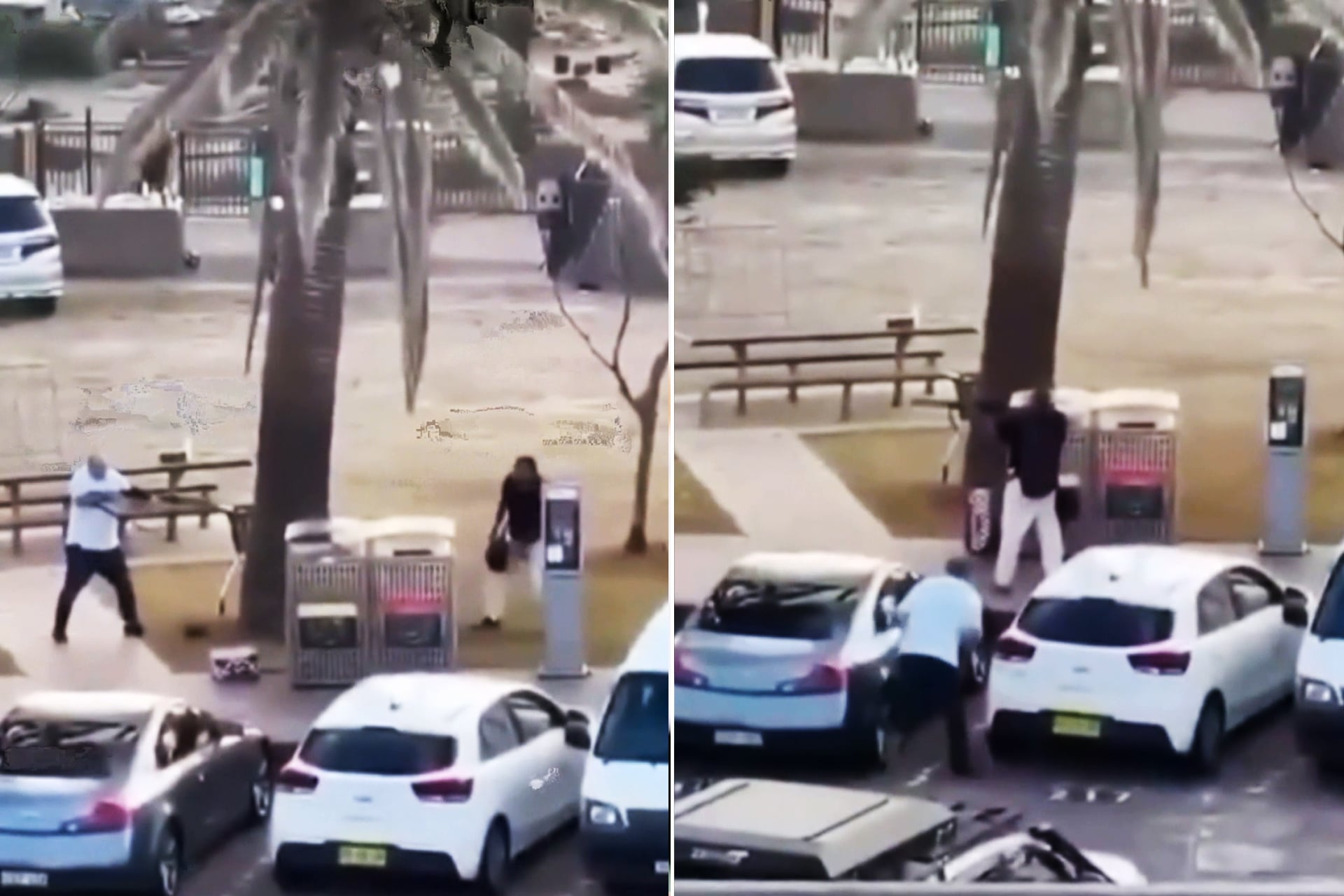 Ahmed al-Ahmed: The Hero Who Confronted Bondi Beach Attacker