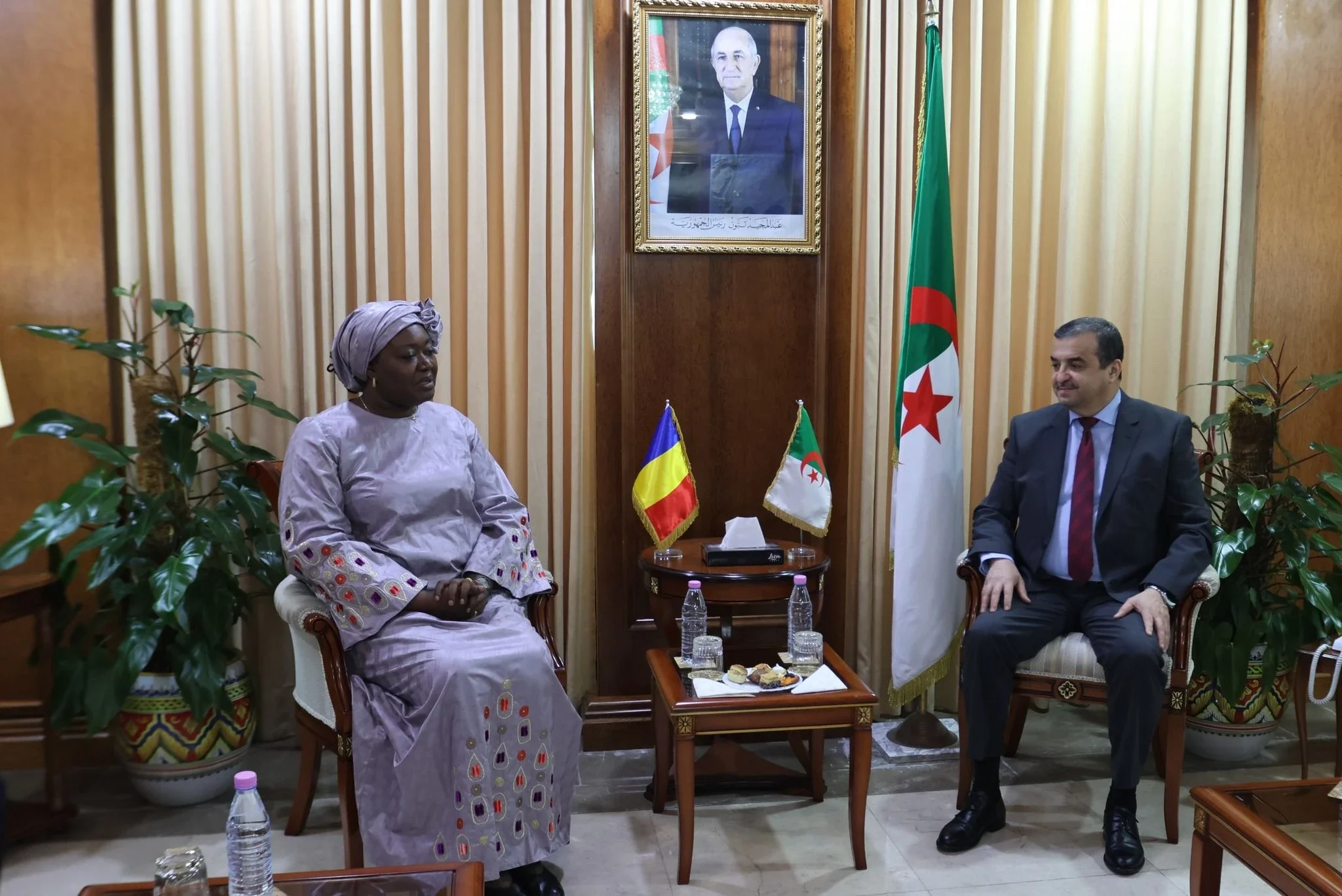 Algeria and Chad Explore Enhanced Energy Cooperation