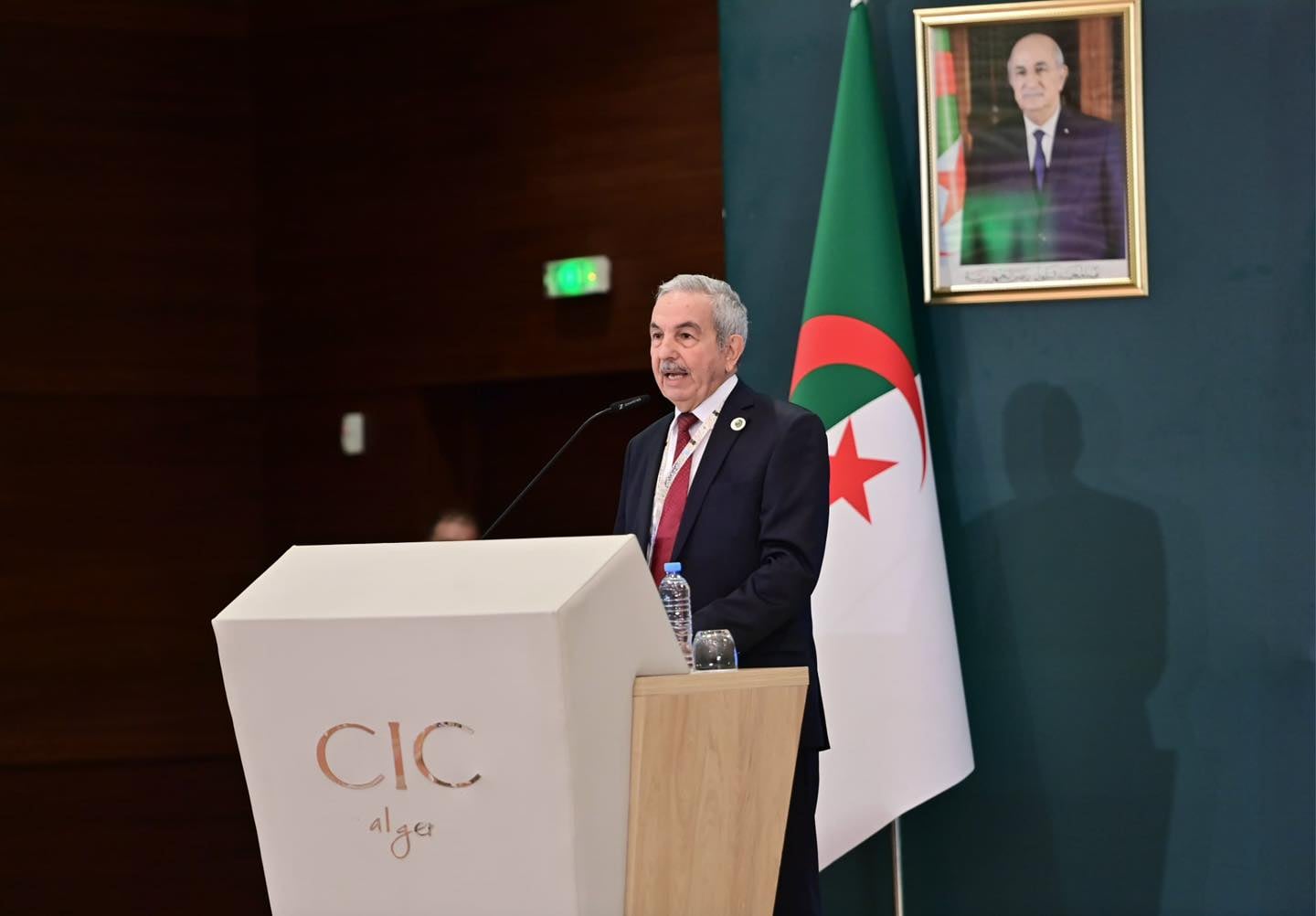 Presidential Prize Elevates Arabic Language Creativity