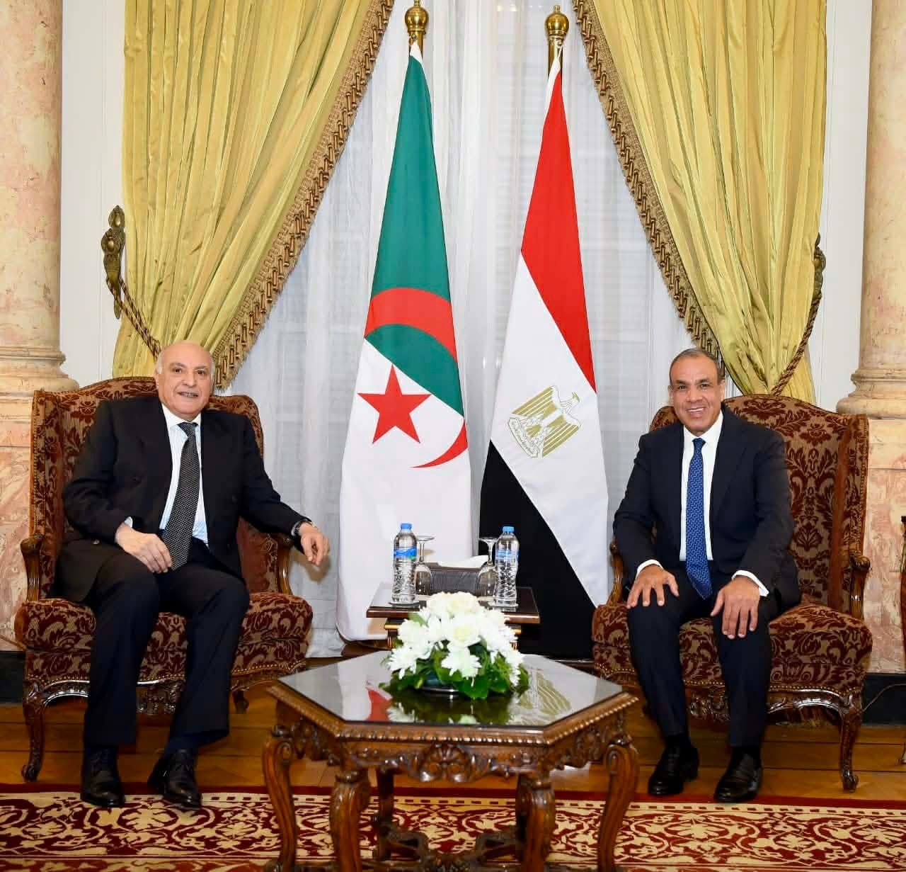 Algeria, Egypt Forge Closer Ties in Cairo Meeting