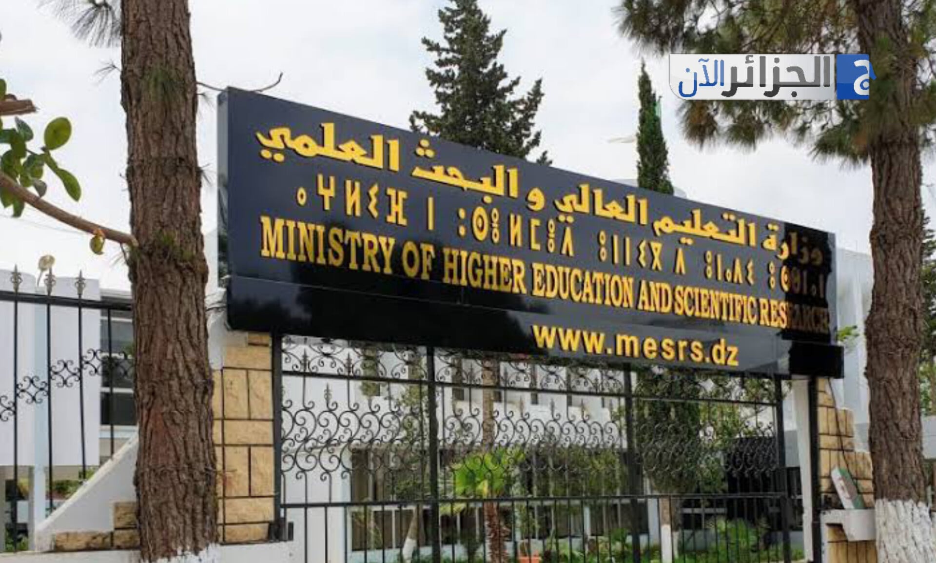 Algeria Streamlines University Registration for Palestinian Students