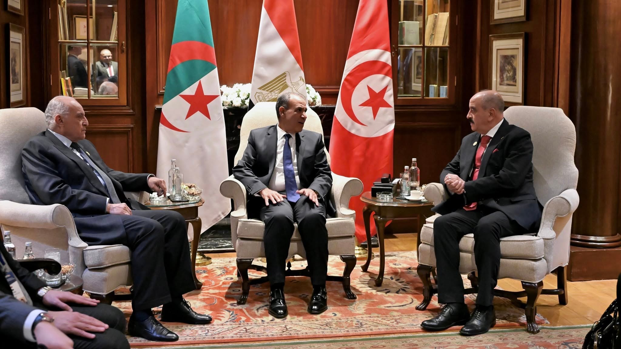Algeria, Egypt, Tunisia Coordinate on Libya Ahead of Key Meeting
