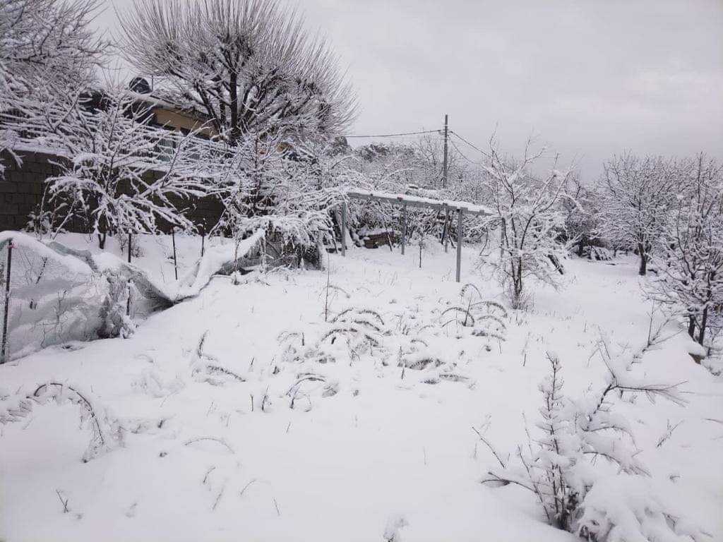 Severe Cold and Snowfall Expected in Algerian Highlands