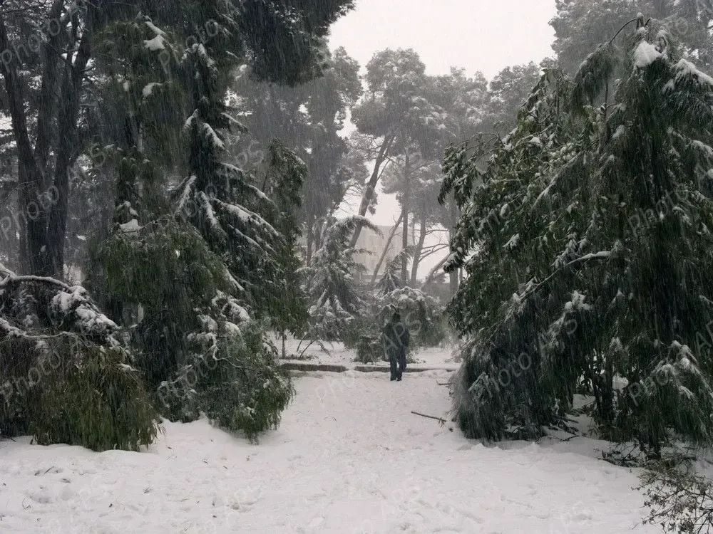 Heavy Snowfall Expected Across Central and Eastern Algeria