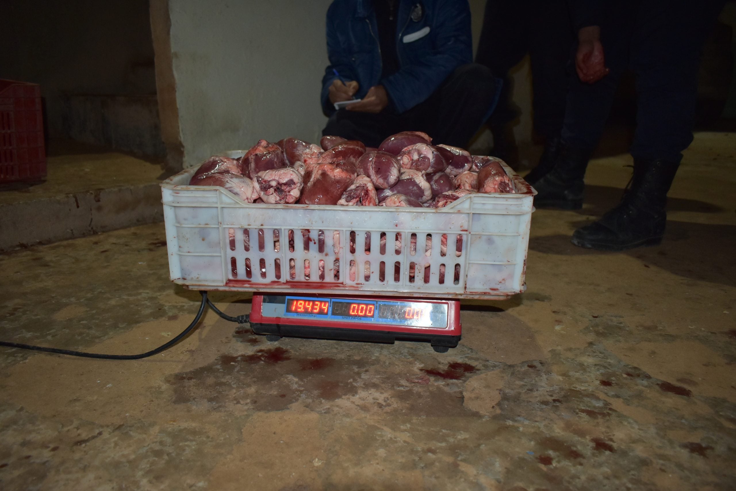 El Bayadh Authorities Seize Uninspected Meat Products