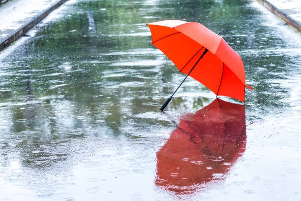 Rain and Snow Forecast for Western Algeria Tomorrow