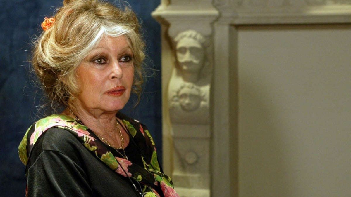 Brigitte Bardot Dies at 91: From Screen Icon to Controversial Figure