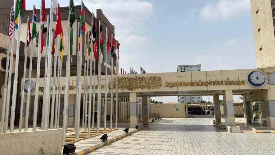 Arab, Islamic Nations Condemn Israel’s Recognition of Somaliland
