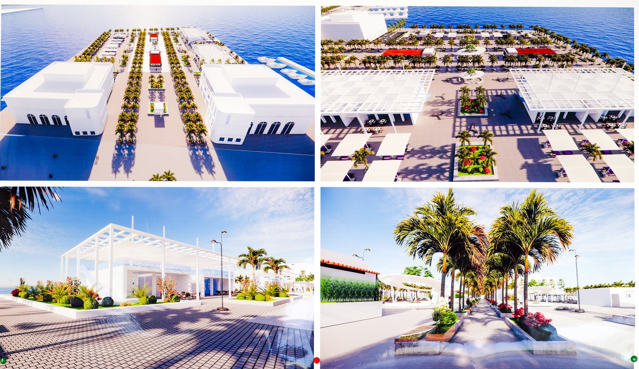Algiers: Martyrs’ Square Link to La Pêcherie Park Advances