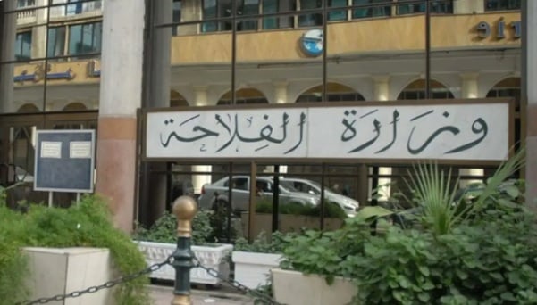 Algeria to Import 1.15 Million Tons of Corn to Stabilize Feed Market