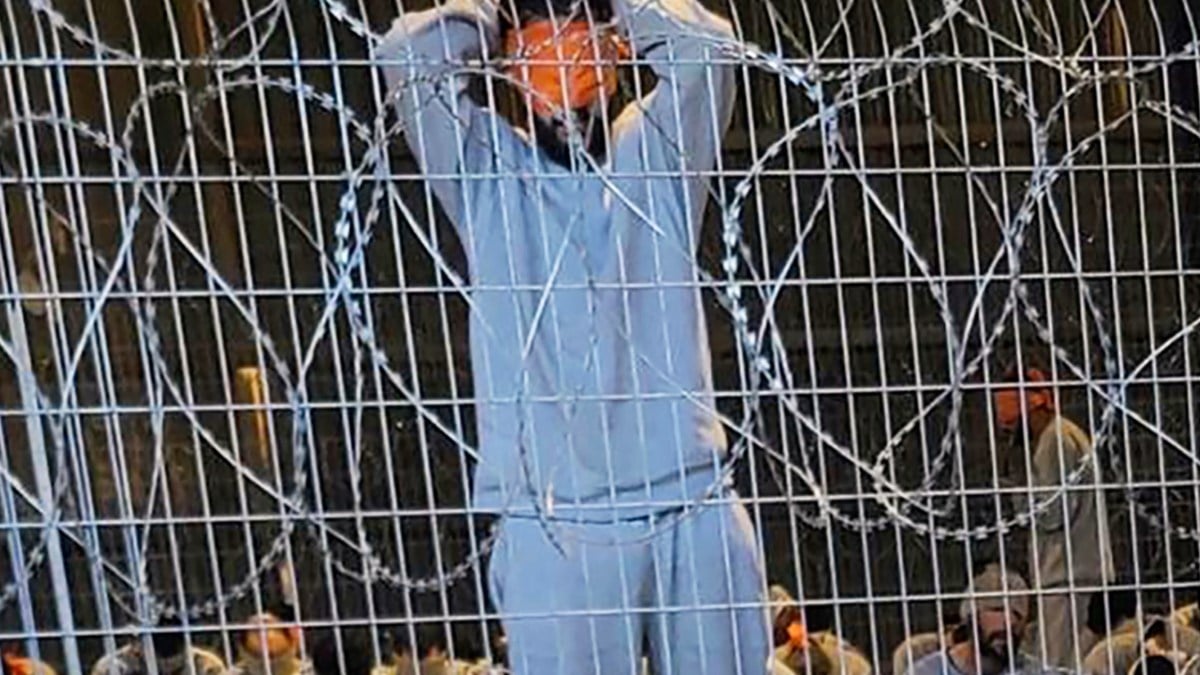 Rights Groups Report Mass Arrests, Deaths in Israeli Prisons