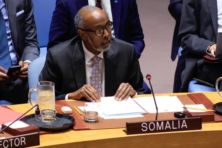 Somalia Assumes Presidency of UN Security Council for January