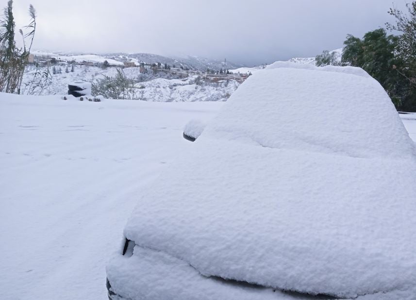 Heavy Snow and Rainfall Expected Across Several Algerian Provinces