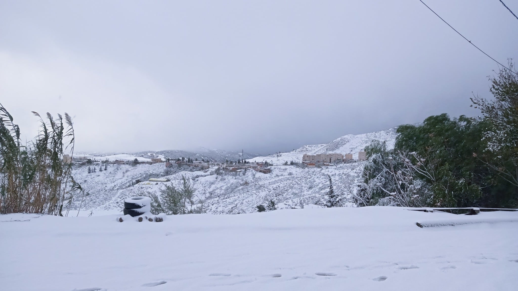 Severe Cold Snap Grips Several Algerian Provinces