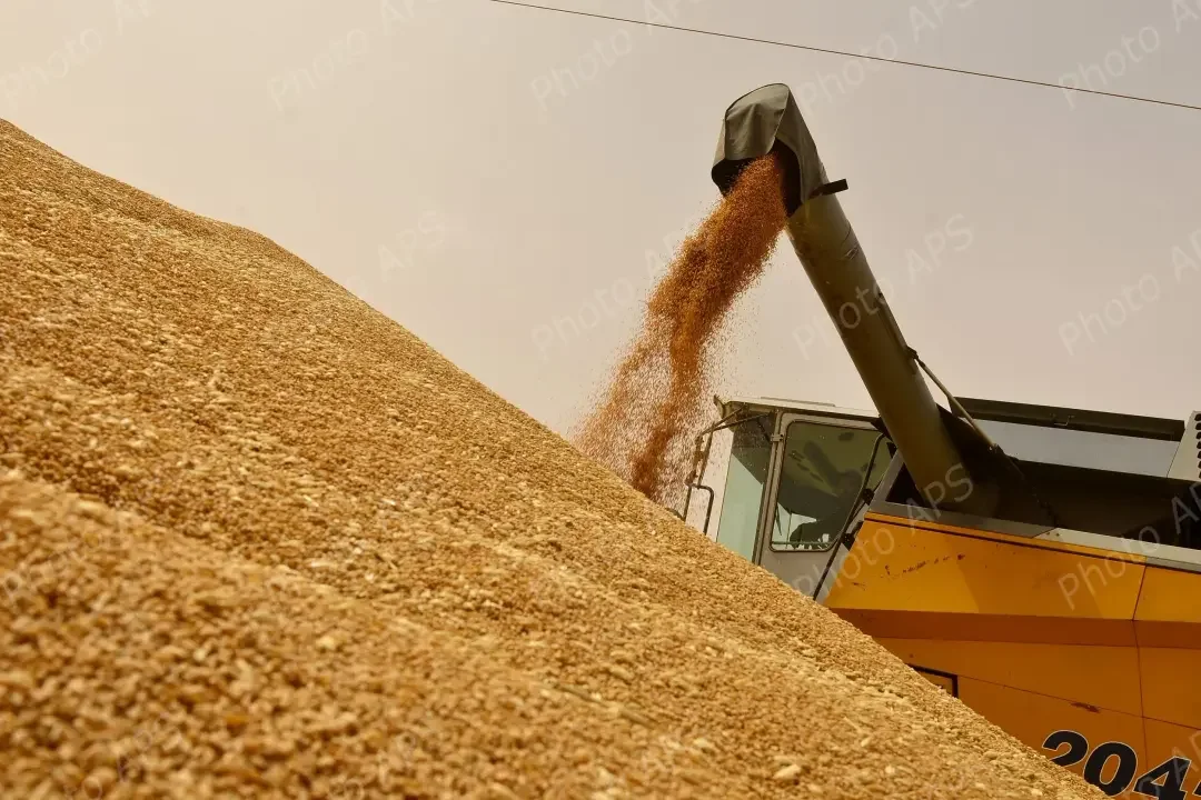 President Orders Increased Agricultural Output, Reviews Farming Laws