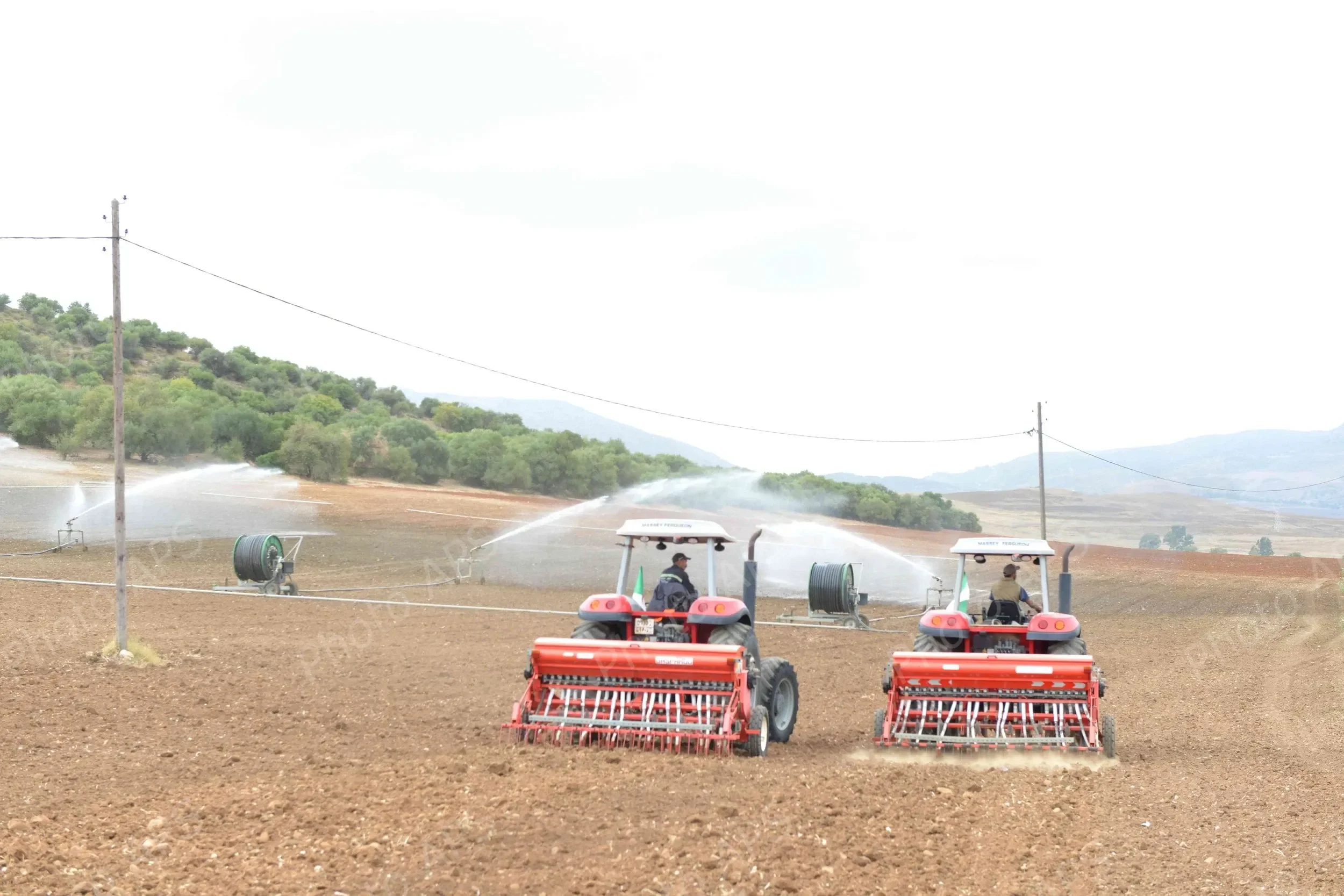 President Emphasizes Expansion of Cultivated Land to 3 Million Hectares