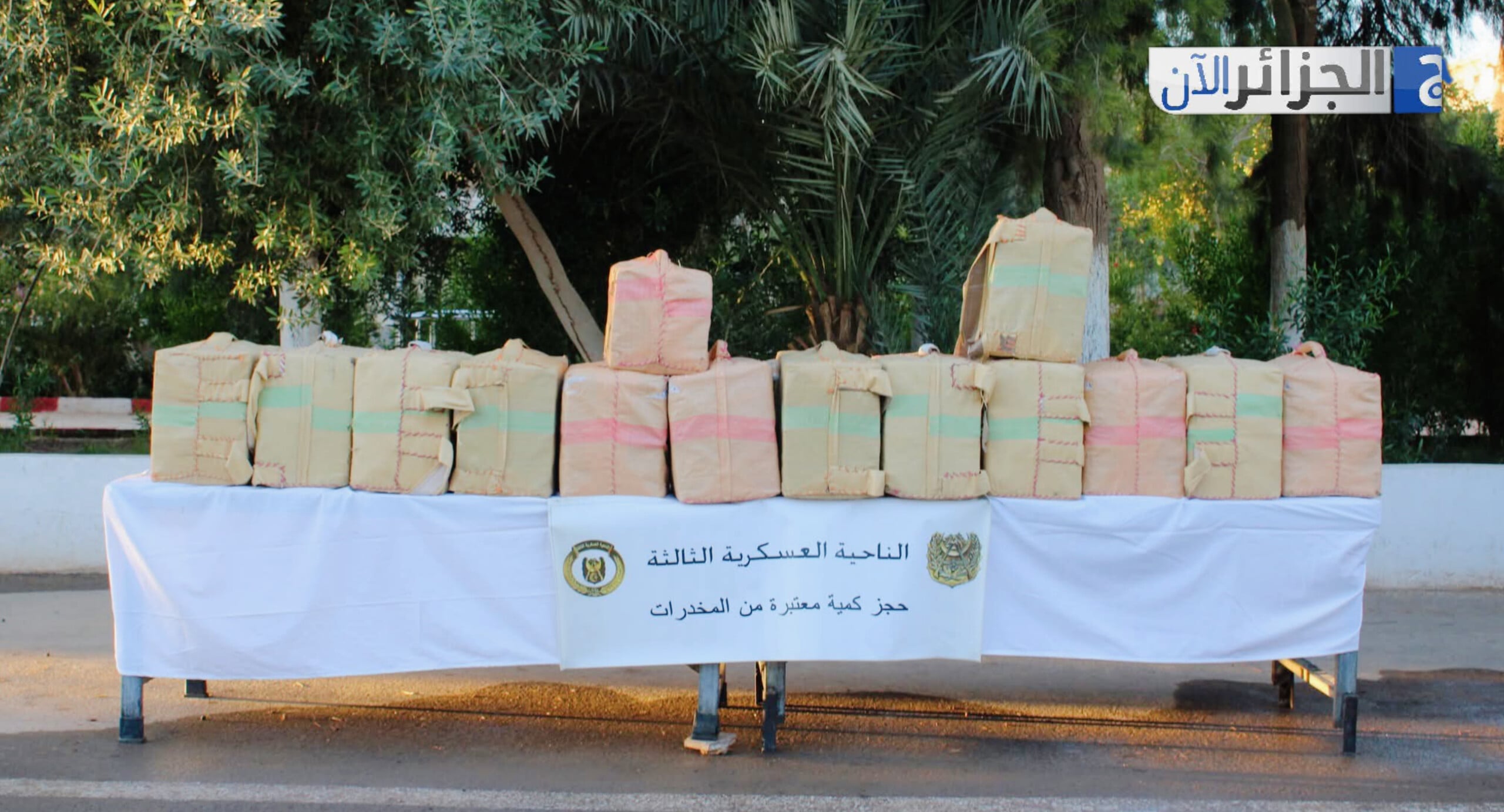 Algerian Army Achieves Key Anti-Terror, Crime Successes