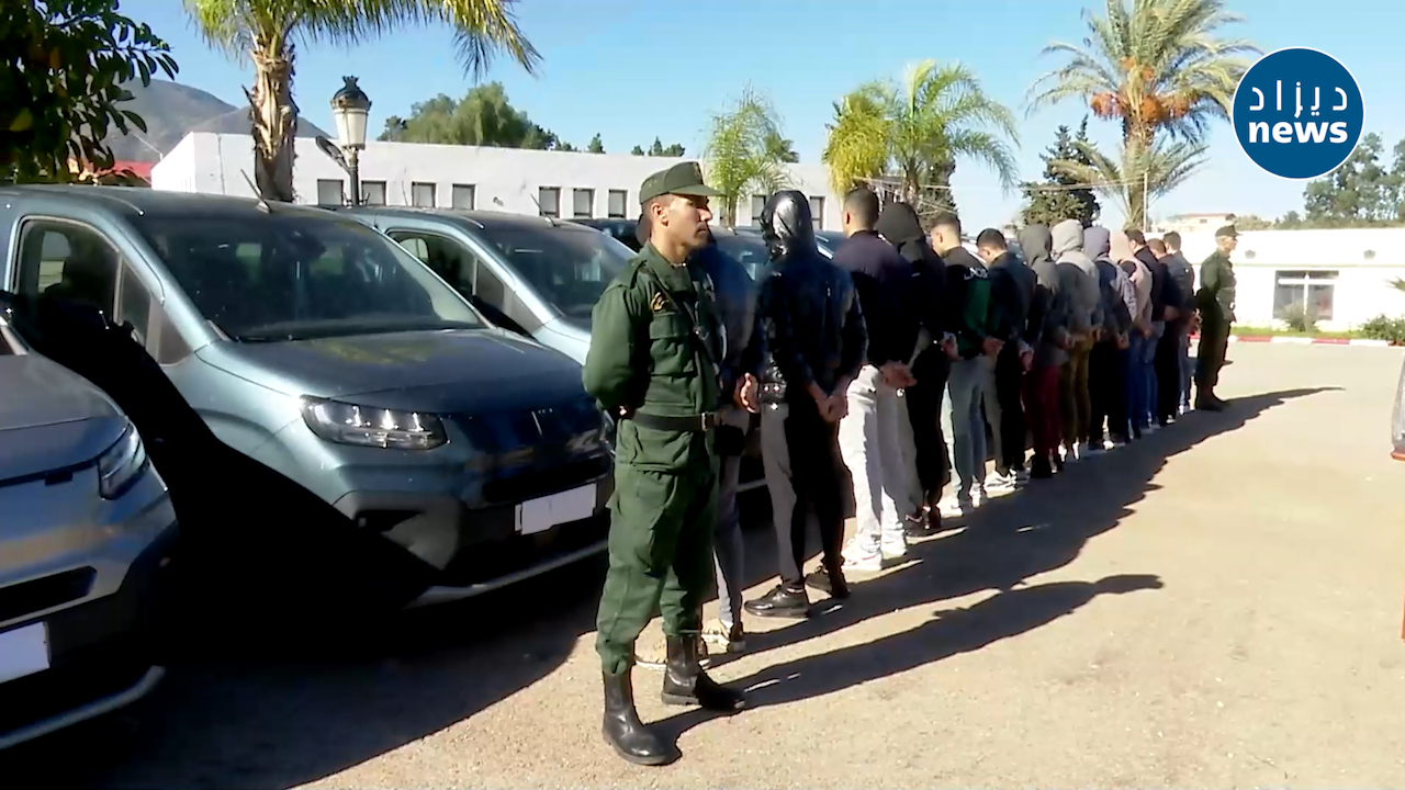 International Car Speculation Ring Busted in Tipaza