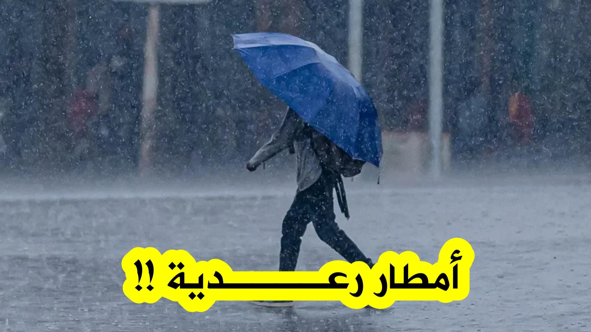 Thunderstorms and Heavy Rainfall Expected Across Several Algerian Regions