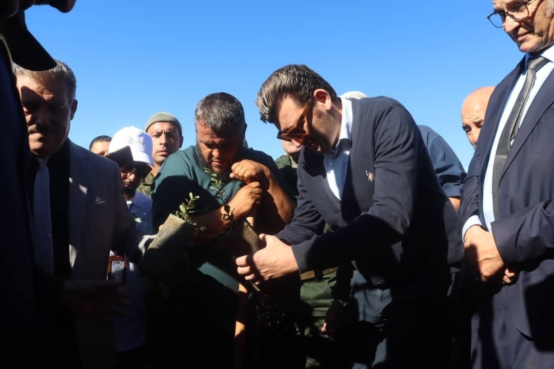 Algeria to Plant 5 Million Trees in Ambitious 24-Hour Campaign
