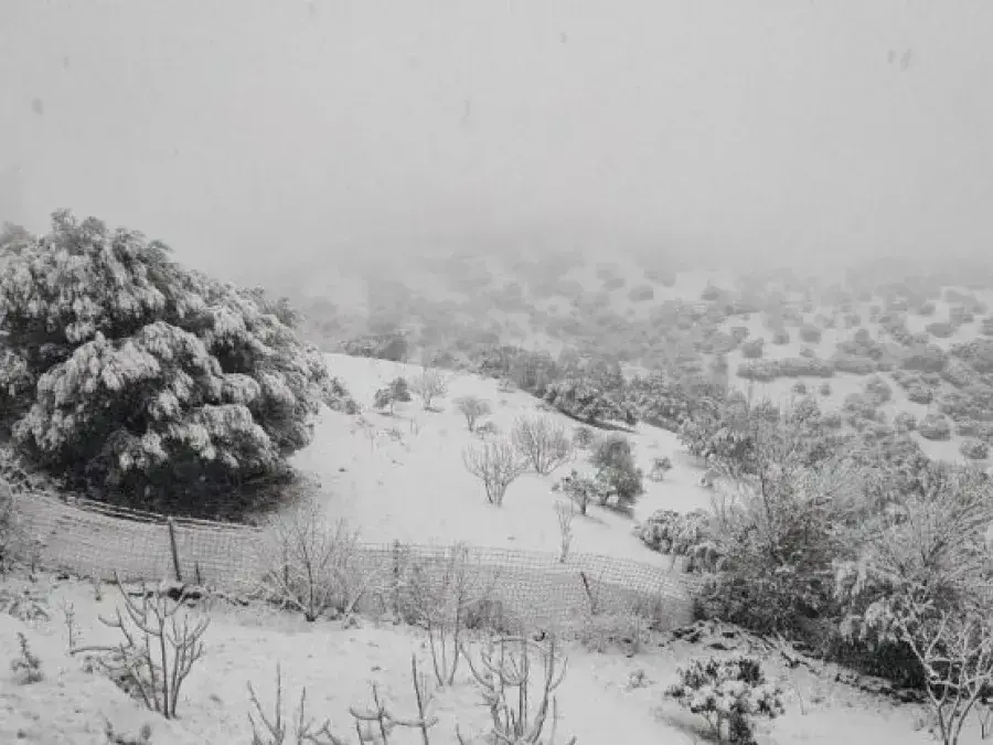 Algeria Braces for Rainfall and Snowfall This Sunday