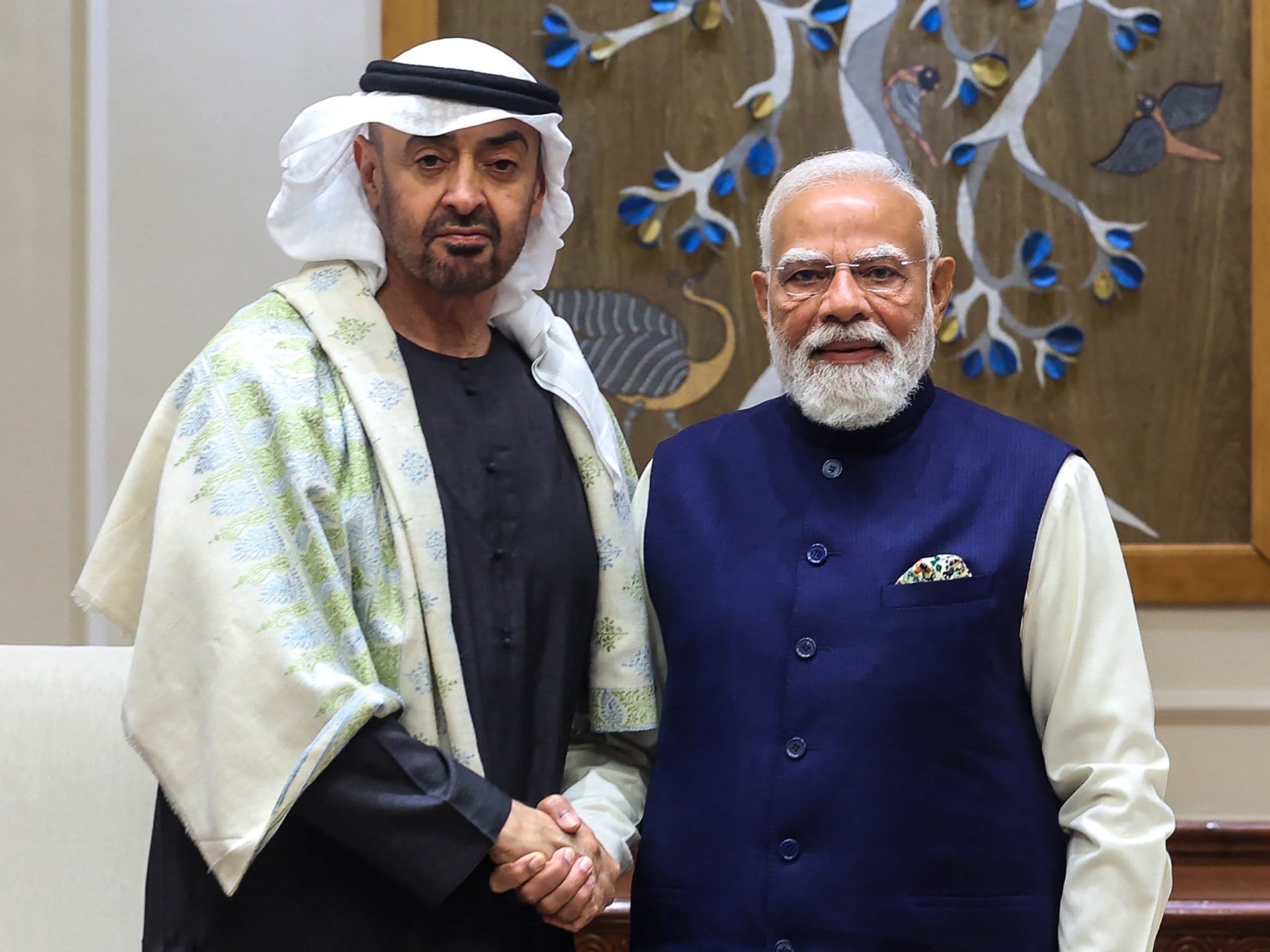 UAE and India Forge Strategic Defense Partnership