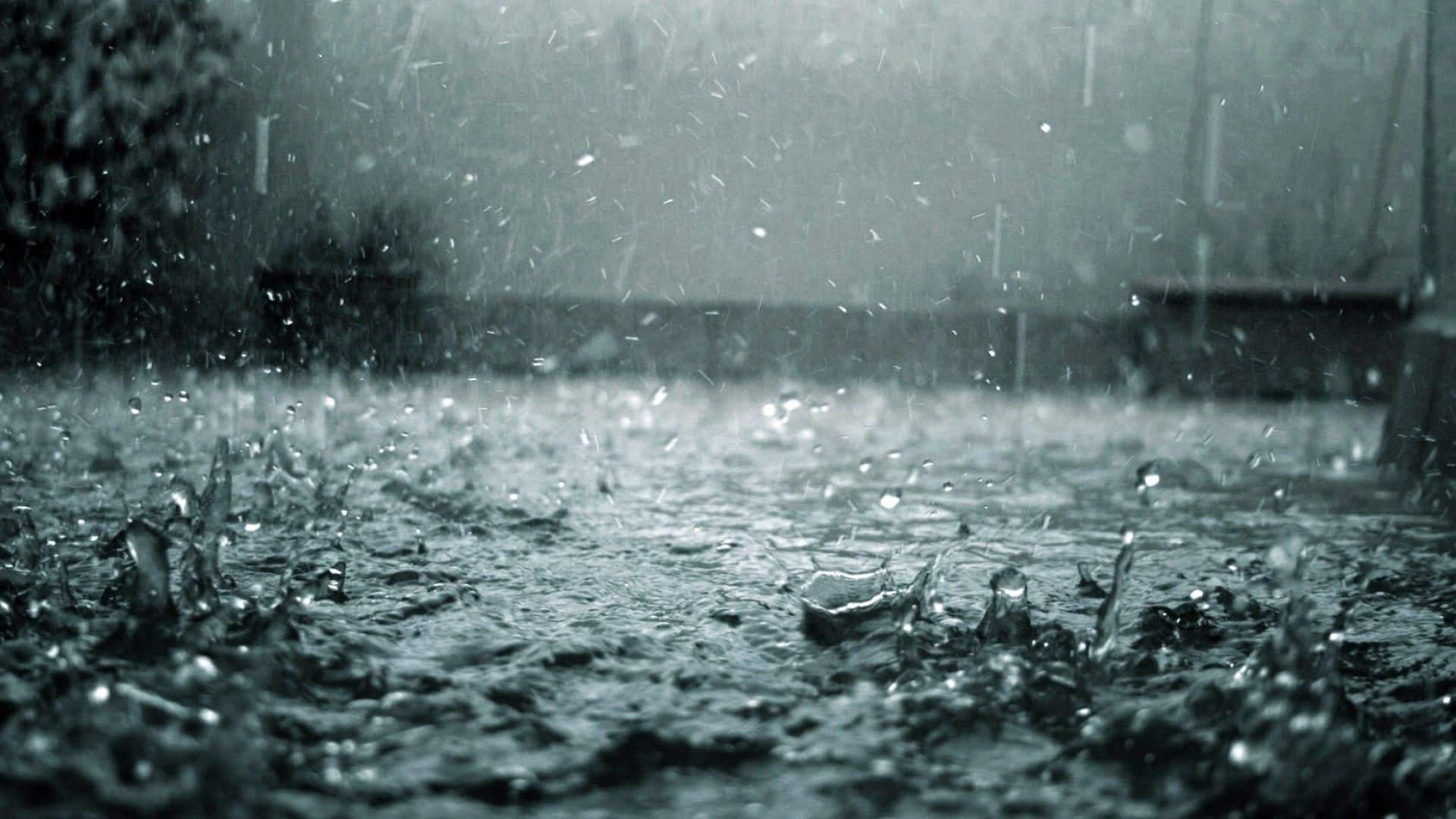 Heavy Rainfall Warning Issued for Several Algerian Provinces