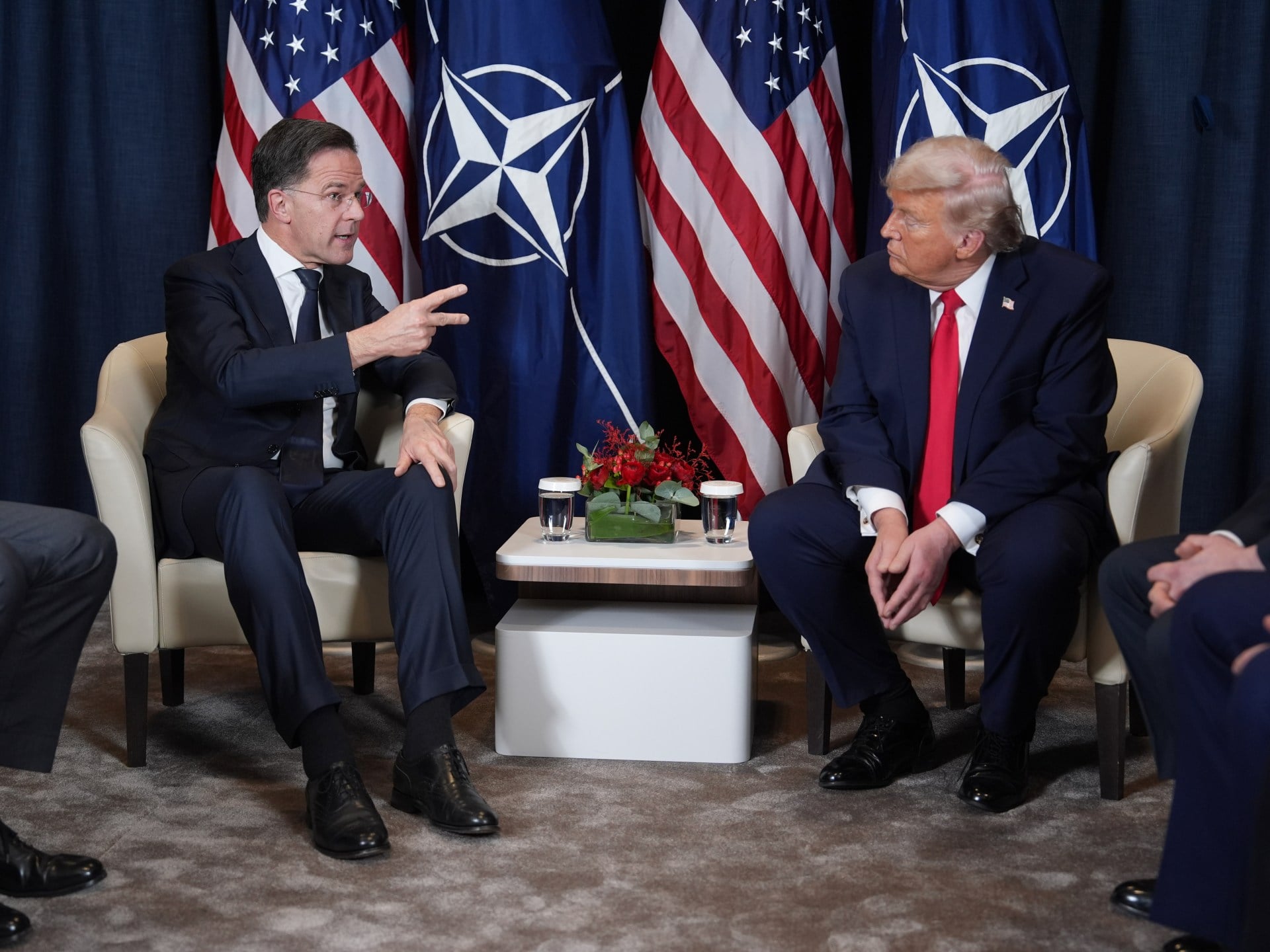 NATO Chief Denies Greenland Sovereignty Transfer Talks with Trump