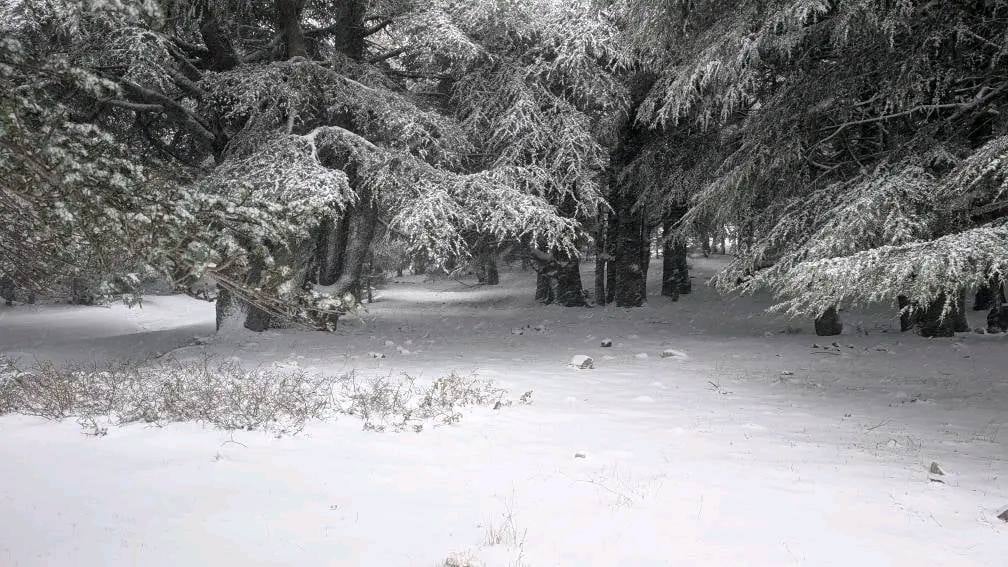 Snowfall Warning Issued for Several Algerian Regions
