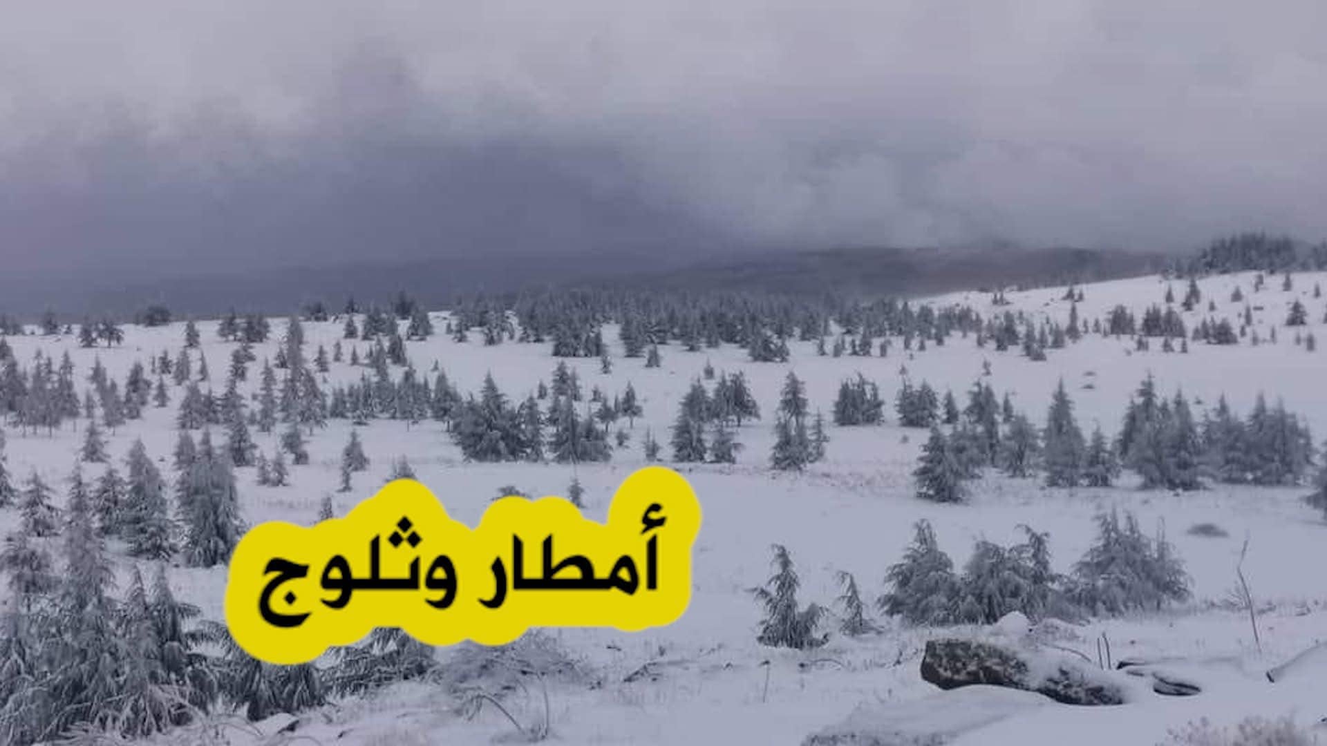 Heavy Rain and Snow Expected Across Several Algerian Provinces