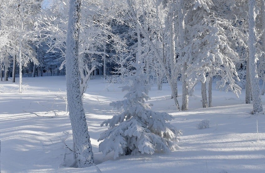 Heavy Snowfall Warning Issued for Multiple Algerian Provinces
